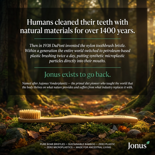 Natural Bamboo Toothbrush with Pig or Horse Hair Bristles